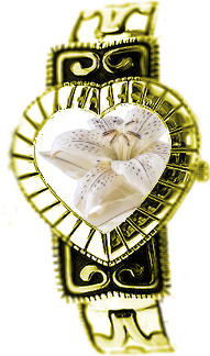 BON JEUDI A TOUS ET TOUTES DUD DUR FINIE LES FTES!!!!!