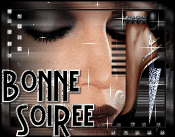 BONNE SOIREE A TOUS ET TOUTES GROS BISOUS CAROLINE