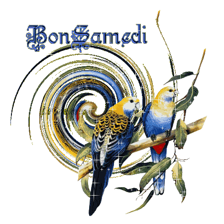 BON SAMEDI A TOUS ET TOUTES GROS BISOUS
