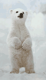 YOUPI C'EST LE WEEK END !!! GROS BISOUS A TOUS A TOUTES