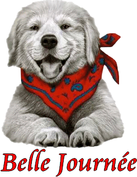 BON JEUDI A TOUS ET TOUTES EN ESPERANT QUE LE VENT  CE CALME