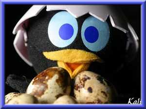 BONNE SOIREE ET BON LUNDI DE P�QUES KISS