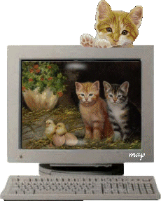 OUF!!!!!VIP MARCHE DE NOUVEAU LOL BON MERCREDI KISS