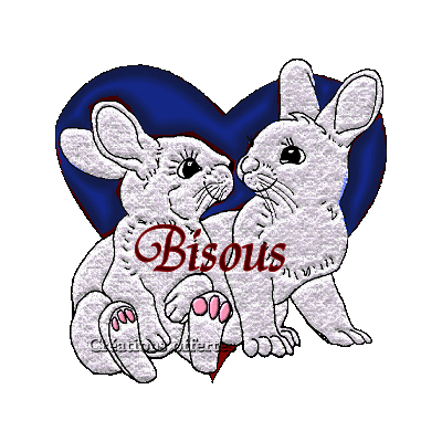 BONNE SOIREE ET BON MERCREDI KISS ET Y VA NEIGER!!!!!!!