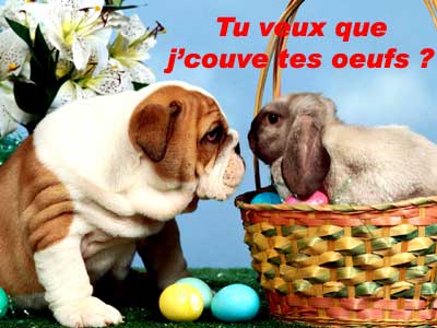 kikou désolée de n'être pas passer aujourd'hui gros bisous a tous et toutes