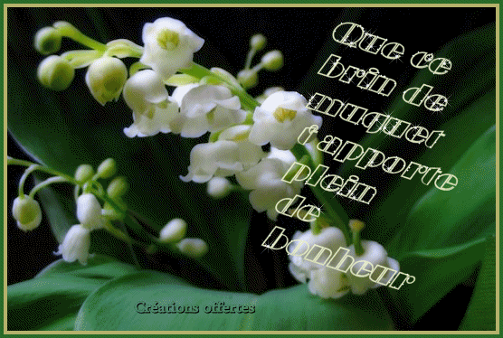 BON MERCREDI A TOUS ET TOUTES KISS C@RO