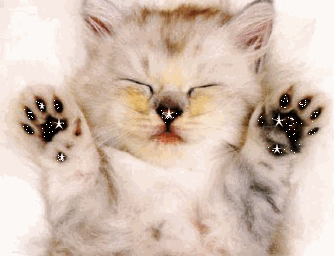 BONNE SOIREE ET BON MARDI A TOUS ET TOUTES KISS