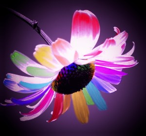 BONNE SOIREE ET BON MERCREDI A VOUS KISS