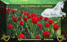 MERCI MA SWEETY POUR CES TULIPES PLEINS BISOUS
