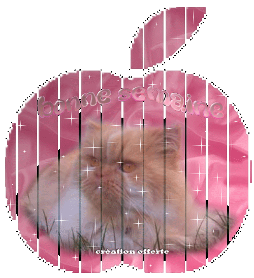 BONNE SEMAINE A TOUS ET TOUTES KISS CARO