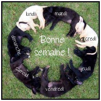 BON DEBUT DE SEMAINE A TOUS ET TOUTES ET ALLEZ LES BLEUS KISS