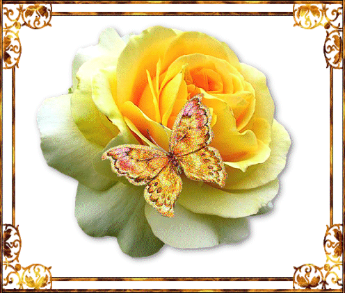 TRES BONNE SOIREE ET TRES BON SAMEDI!!LE WEEK....