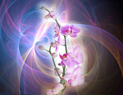 BON MERCREDI A TOUS  ET TOUTES KISS CARO