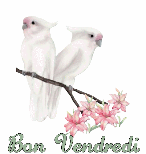 BON VENDREDI A TOUS ET TOUTES KISS AVEC LA PLUIE ICI BEURK