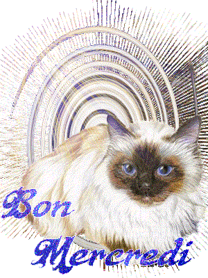 BON MERCREDI A TOUS ET TOUTES ET JOYEUX ANNI A MON CAMERON POUR CES 7 ANS