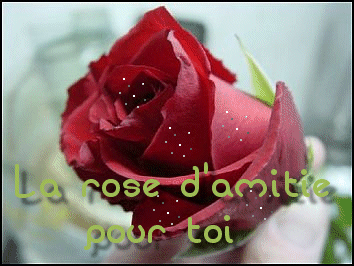 MAGNIFIQUE PRESENT DE MON AMIE TENDRESSE GROS BISOUS