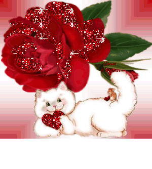 BONNE SOIREE ET TRES BON JEUDI QUI ES EGALEMENT LA FTE DES ROSES