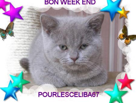 BON WEEK END A VOUS TOUS ET TOUTES KISS CARO