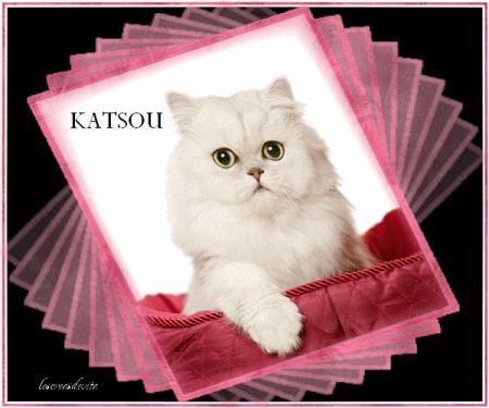 MERCI A VITA GROS BISOUS VOUS ME GATEZ BIEN