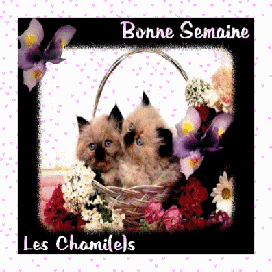 BONNE SEMAINE PLEINS DE BISOUS CAROLINE