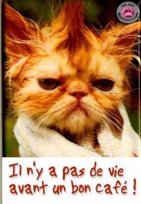 BONNE SOIREE ET TRES BON MERCREDI A TOUS ET TOUTES BISOUS