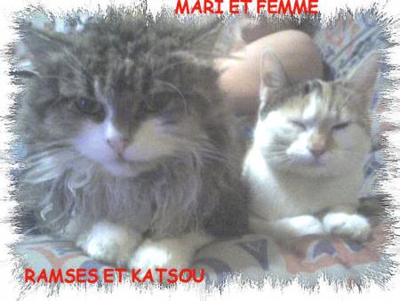 BON WEEK END A TOUS ET A TOUTES KISS C@RO