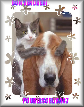 BON VENDREDI ET DEBUT DE WEEK END KISS