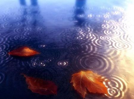 BON MERCREDI A TOUS ET TOUTES KISS CAROLINE