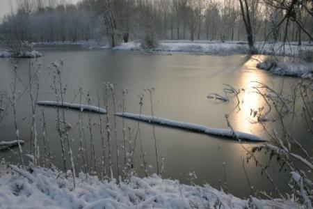 DEPUIS HIER LES 1 ER FLOCONS DE NEIGE TOMBE SUPER!!!!!!