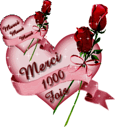 MILLES MERCI POUR VOTRE SOUTIEN POUR MA MEME