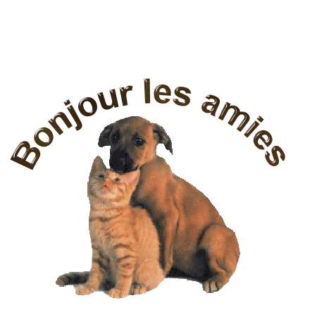 BON VENDREDI A TOUS ET TOUTES KISS CARO