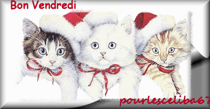 BON VENDREDI A VOUS TOUS ET TOUTES KISS