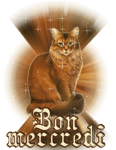 BON MERCREDI A VOUS MES Z'AMIS KISS C@RO