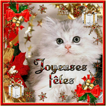 BONNE SEMAINE ET BONNES FTES A VOUS TOUS ET TOUTES KISS CARO